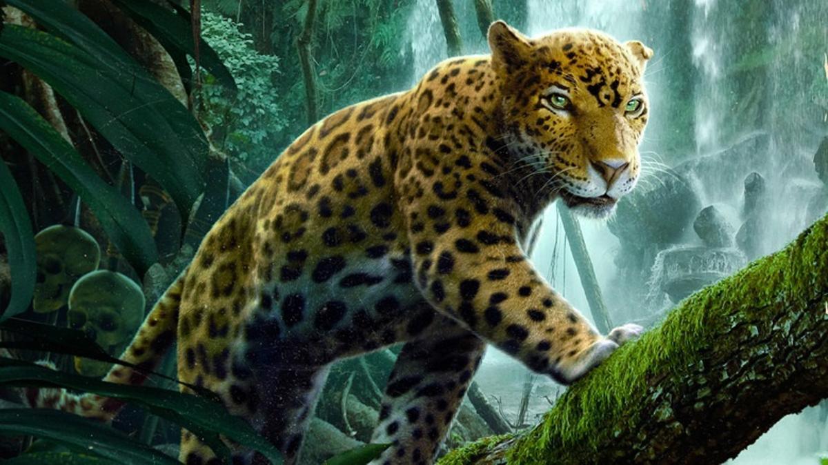 El jaguar Proxima no era real, fue creado digitalmente.