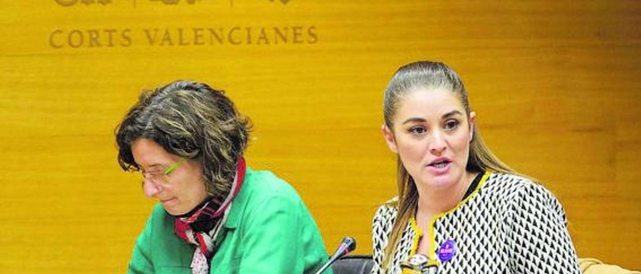 La consellera Mireia Mollà y la diputada Graciela Ferrer, en las Cortes