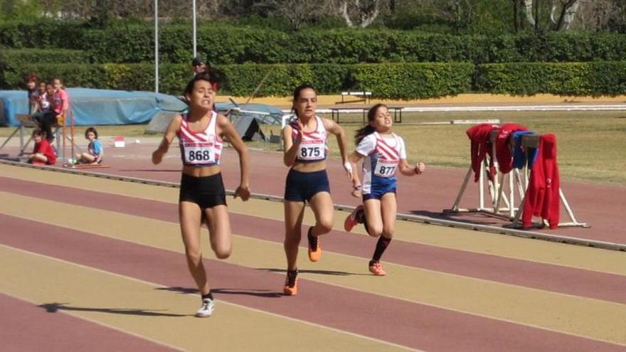 L&#039;Ajuntament preveu millorar l&#039;estadi d&#039;atletisme del Congost