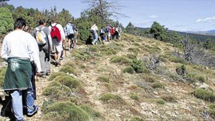 Tres mil licenciados de 16 especialidades aspiran a dirigir los parques naturales