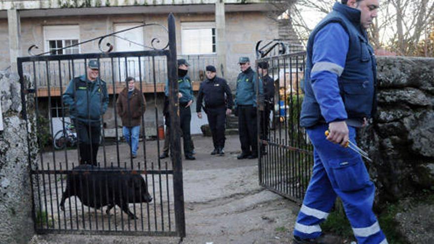 Un operario y la mascota abandonan la vivienda, custodiada por la Guardia Civil.  // Gustavo Santos