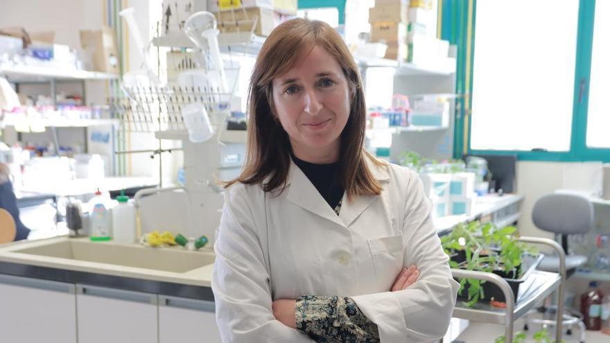La científica de la UJI de Castellón que investiga sobre las plagas que afectan a los cítricos y tomates
