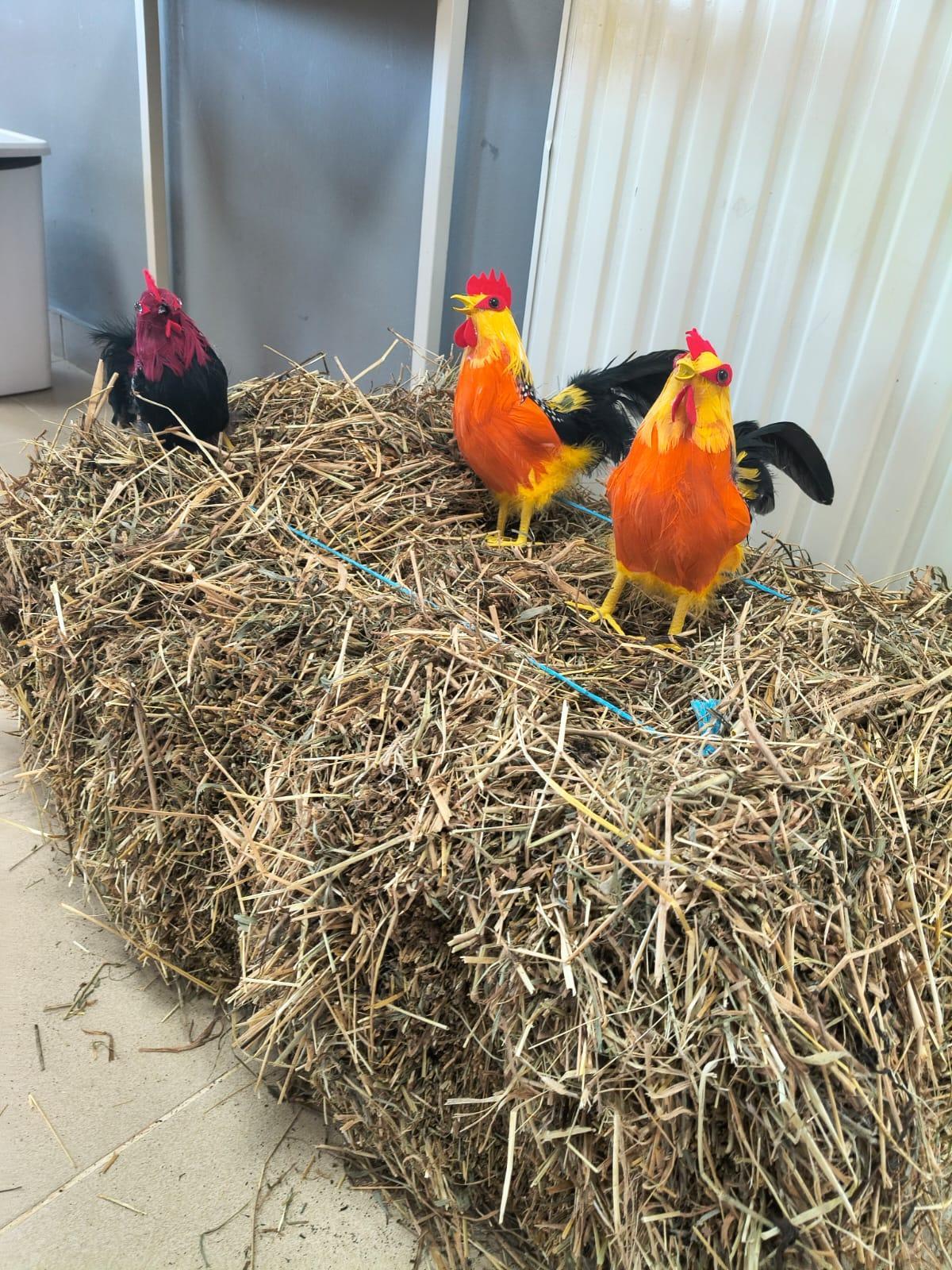 El Antroxu del Centro de día de Grado, en imágenes