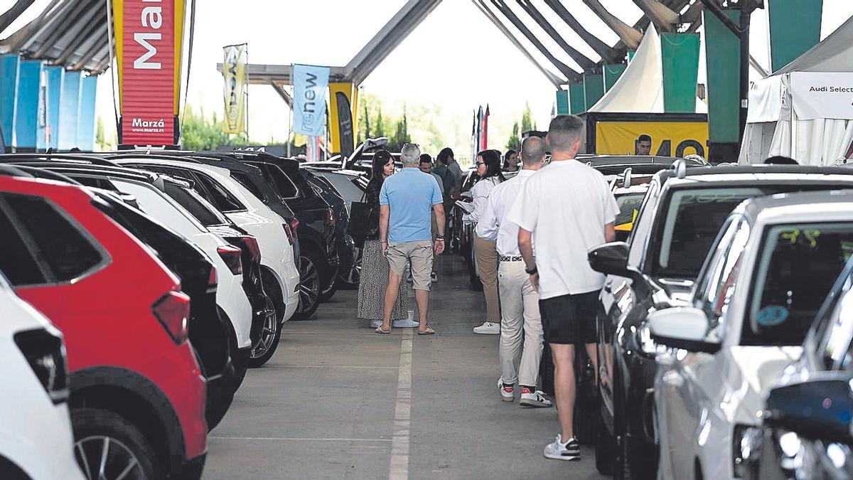 Varios clientes miran y prueban turismos y todoterrenos de segunda mano en la feria Motorocasión de Castelló.