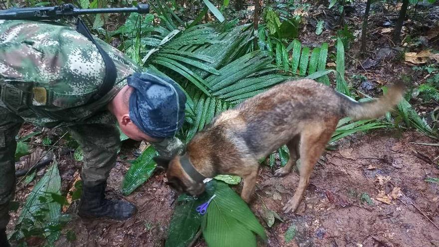 Els quatre nens desapareguts en un accident aeri a la selva amazònica encara no han estat localitzats