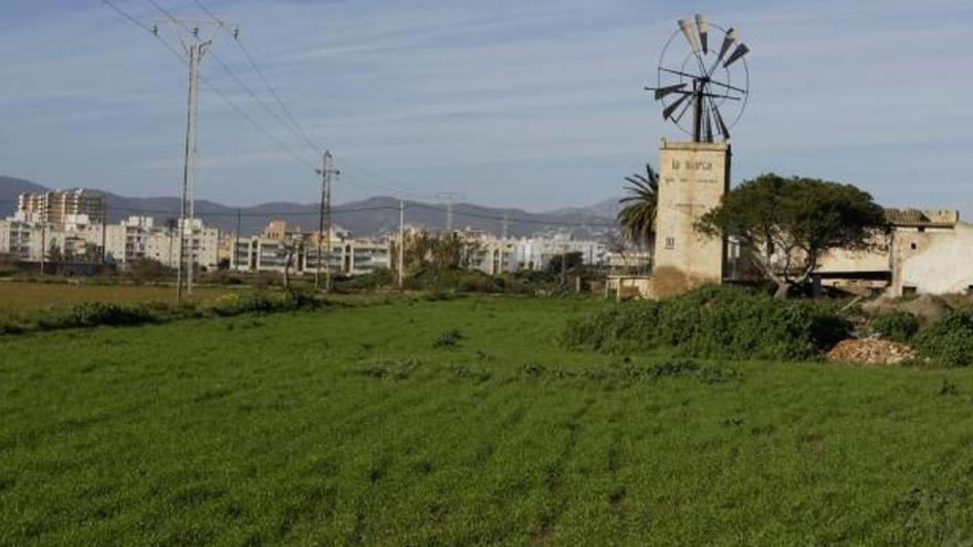 El Ayuntamiento espera reunirse «en breve» con la promotora de Son Bordoy