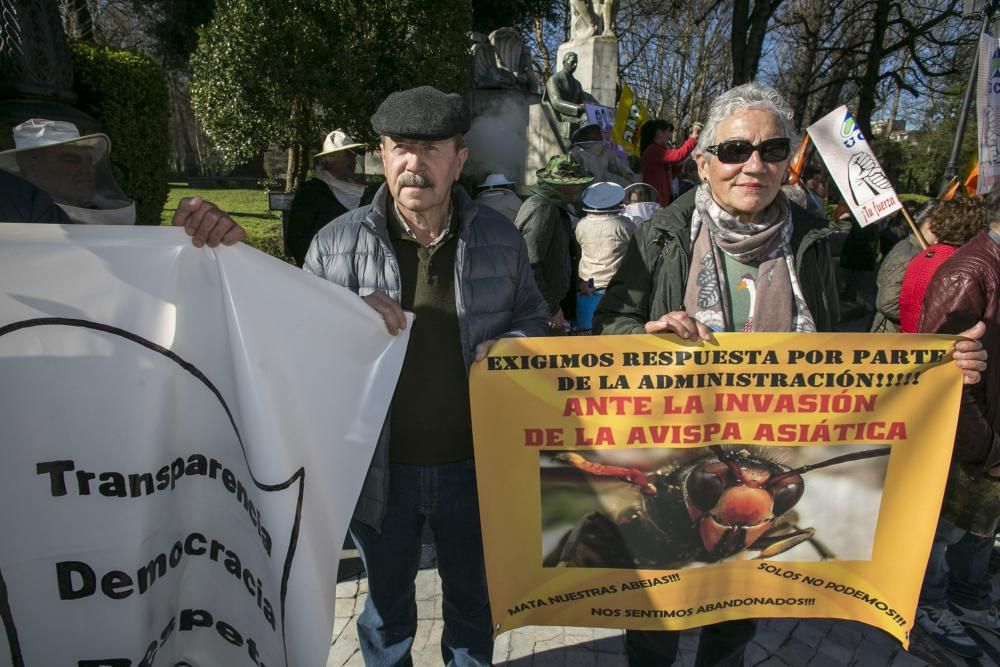 El campo asturiano llena Oviedo con su clamor de cencerros