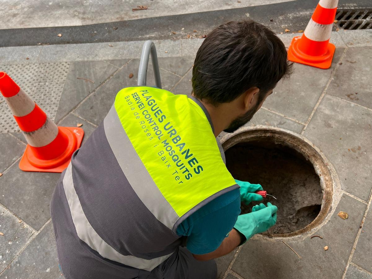 Un tècnic fent el control de plagues.