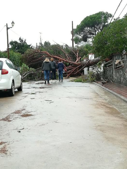 Destrosses a Riells i Viabrea per un tornado