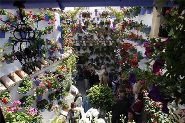 Los Patios y su esplendor, Patrimonio de la Humanidad