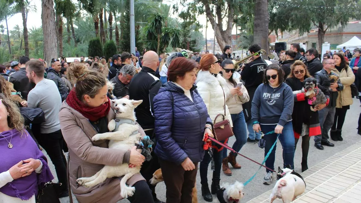 El barrio de San Antón de Orihuela se viste de fiesta
