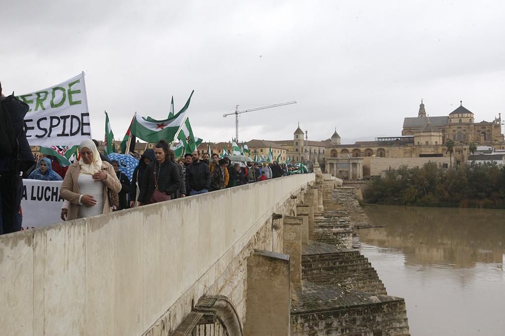 Unas 2.000 personas marchan en Córdoba para que "Andalucía despierte"