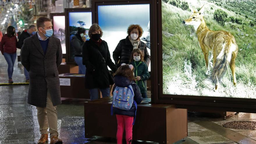 Exposición de fotógrafos de National Geographic que se puede contemplar en Vigo. // J. Lores