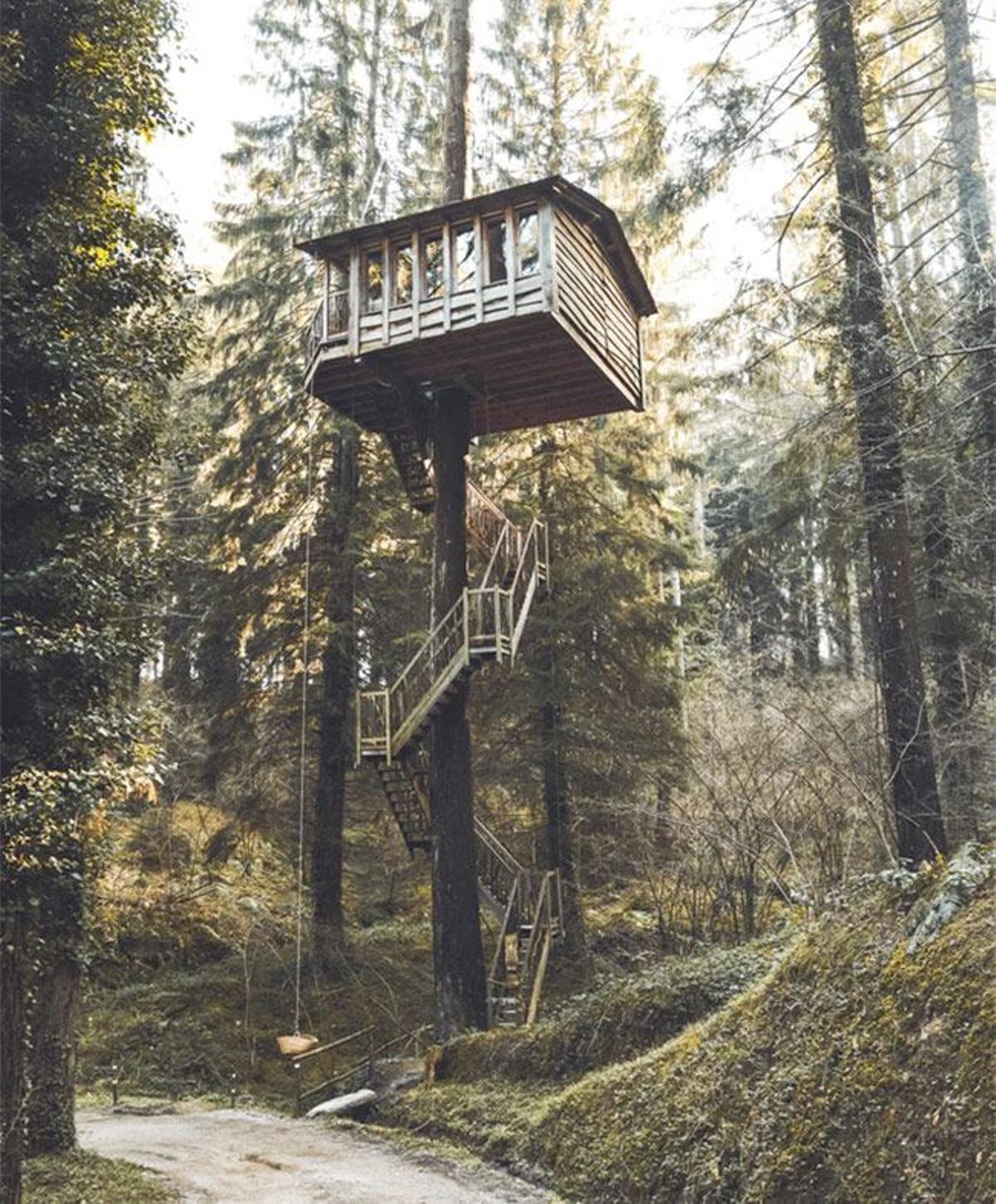 Una cabaña en un árbol