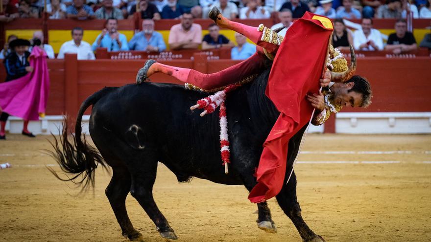 El tercer toro voltea a José Tomás en la plaza de toros de Alicante