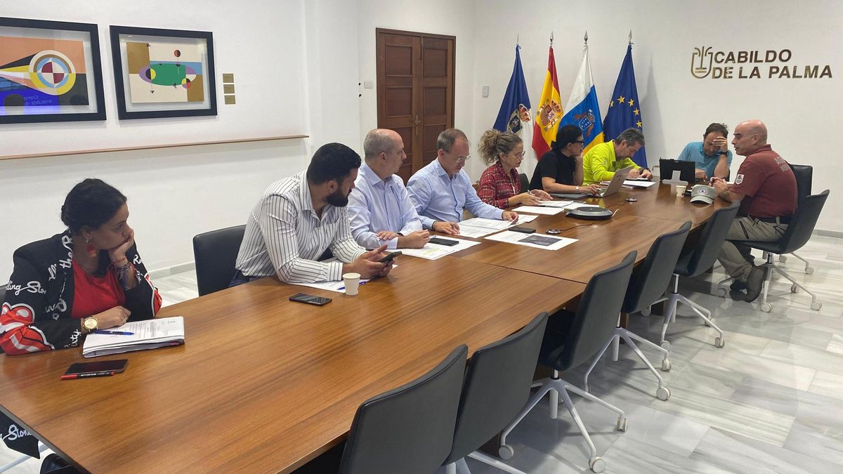 Reunión del Peinpal en el Cabildo de La Palma.