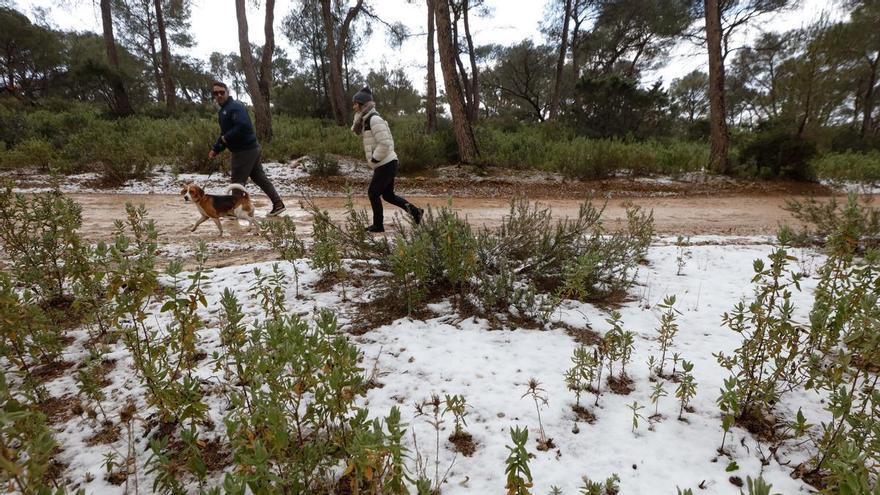 Nieve en Ibiza: Las temperaturas se desploman y sa Talaia de Sant Josep se tiñe de blanco