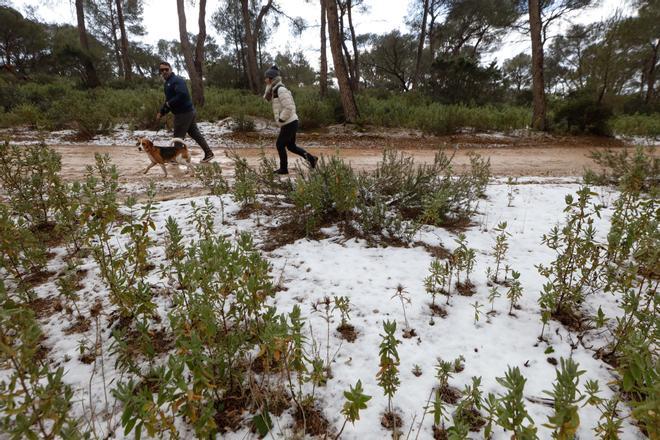 Una pareja pasea su perro en sa Talaia de Sant Josep.