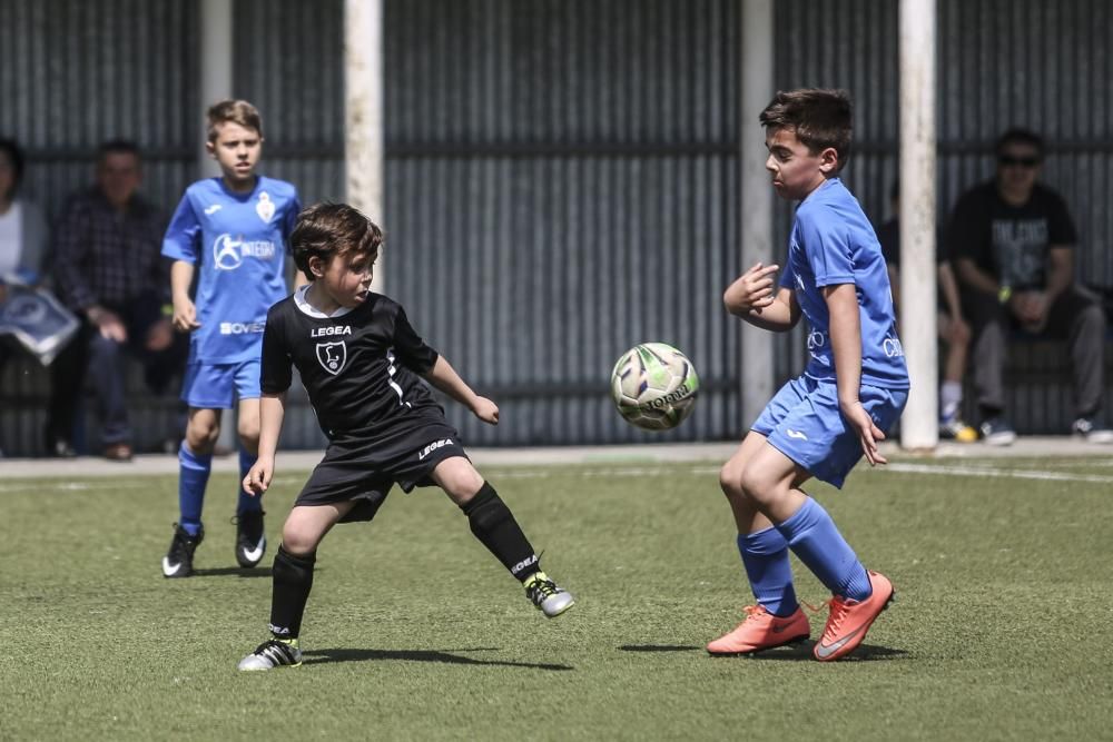 Partidos y actividades de la Oviedo Cup