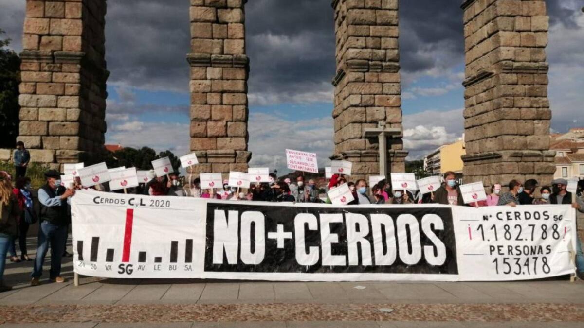 La ‘España vaciada’ se subleva contra las macrogranjas de cerdos