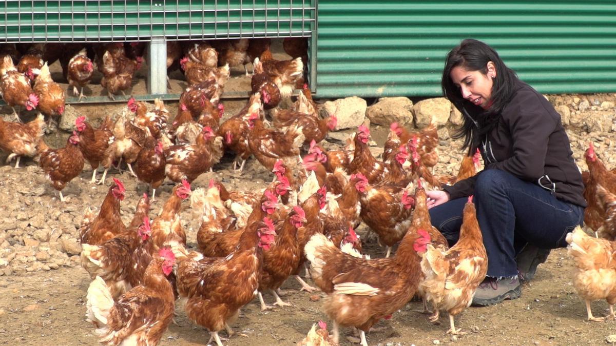 La ganadera María Eugenia Búrdalos, en su granja de gallinas camperas.