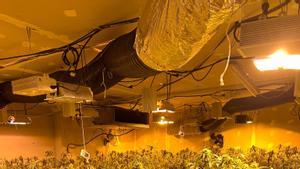 Plantación de cannabis intervenida en una nave de lAmetlla del Vallès