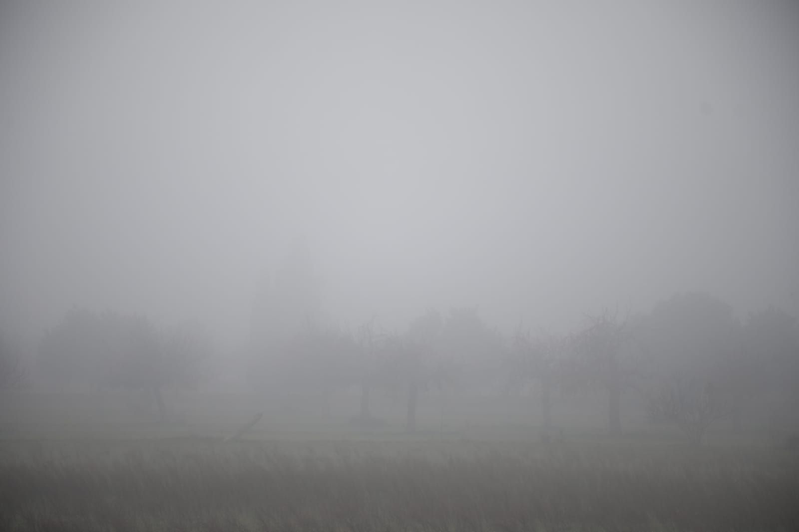 Mallorca amanece cubierta de niebla