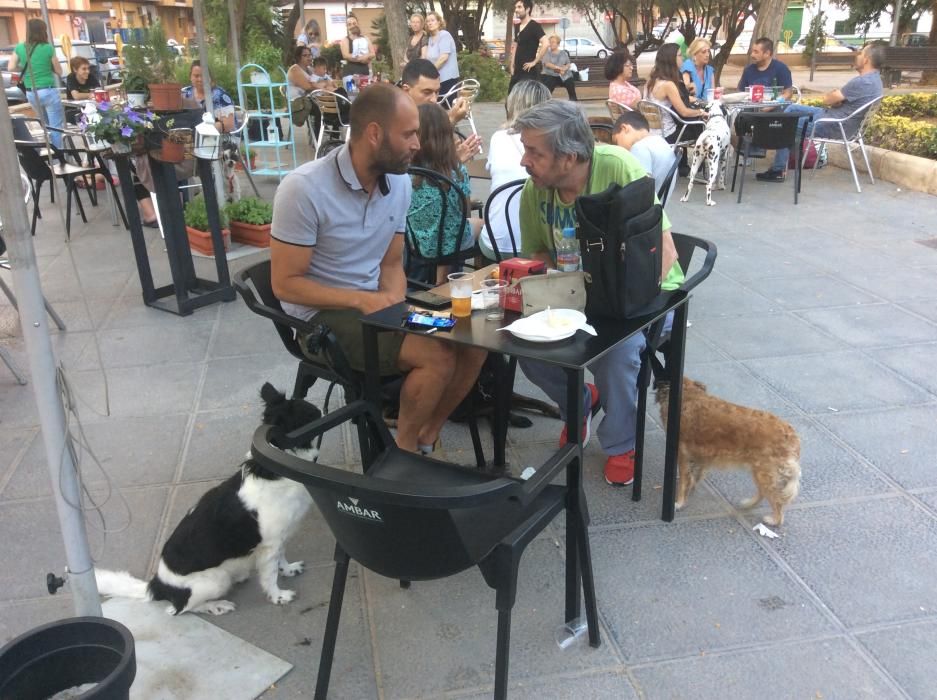 Tapeo solidario de la protectora APAX de Xirivella