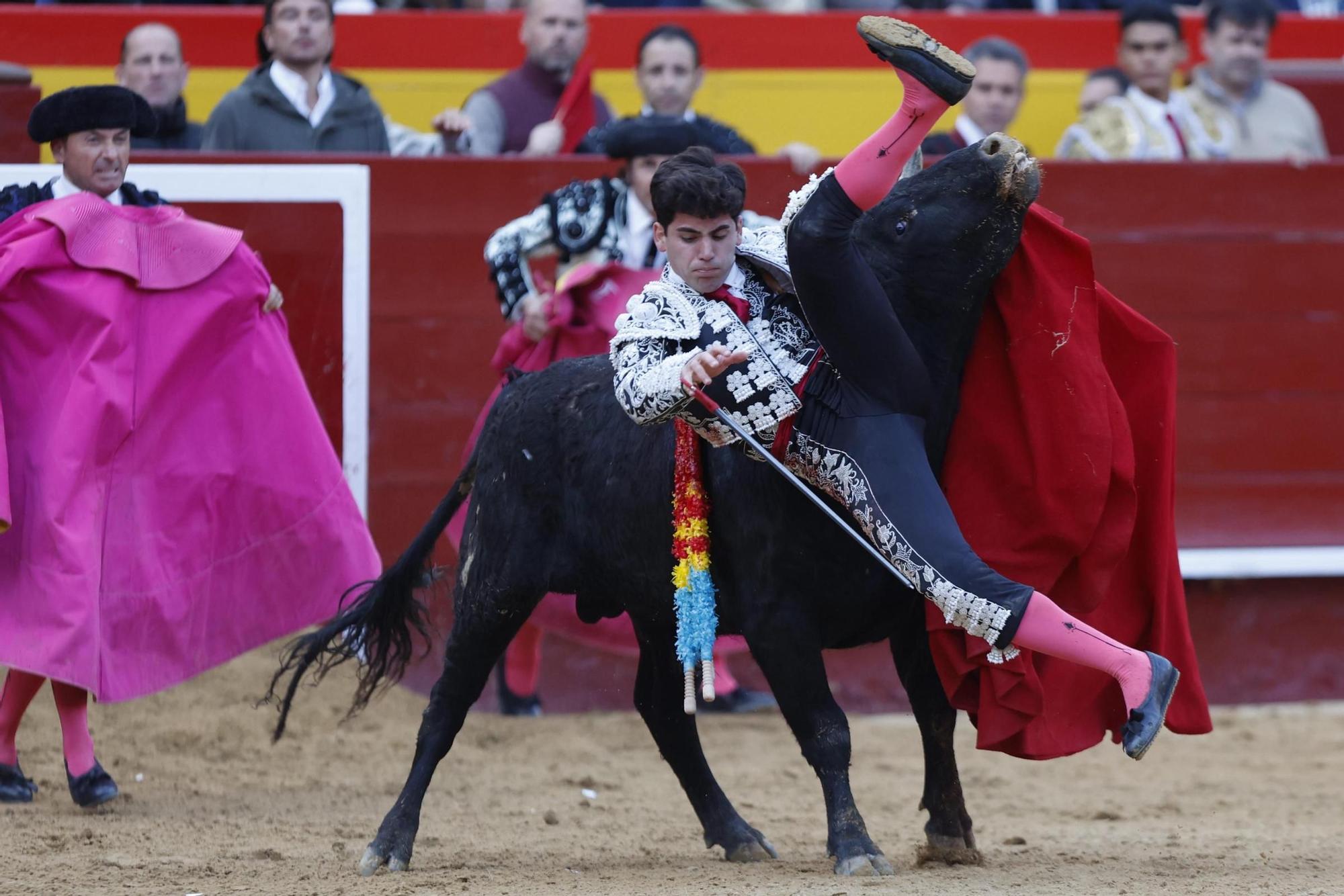 La novillada sin picadores de la Feria de Fallas, en imágenes
