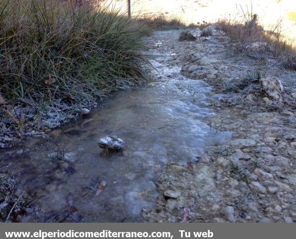 GALERÍA DE FOTOS - Primeras nieves en la provincia