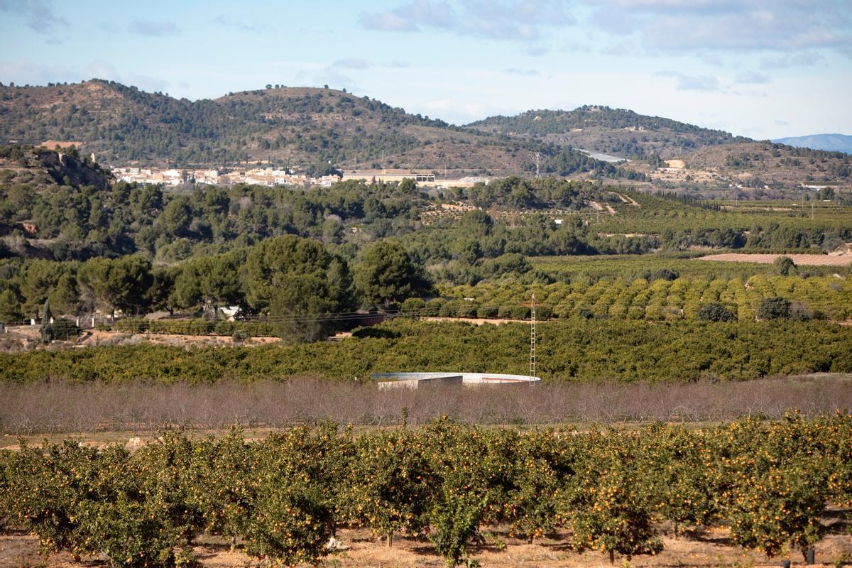 Terrenos donde está proyectada la macroplanta fotovoltaica.