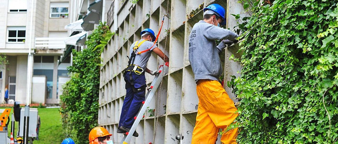 Los operarios crean un jardín vertical aprovechando los conductos de aireación de un garaje