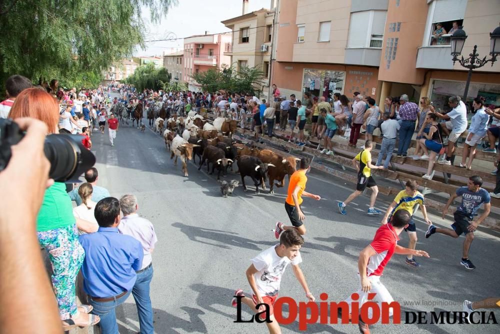 Séptimo encierro en Moratalla