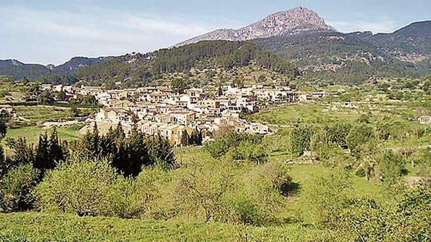 Los perros se escaparon de una finca en los alrededores de Puigpunyent.