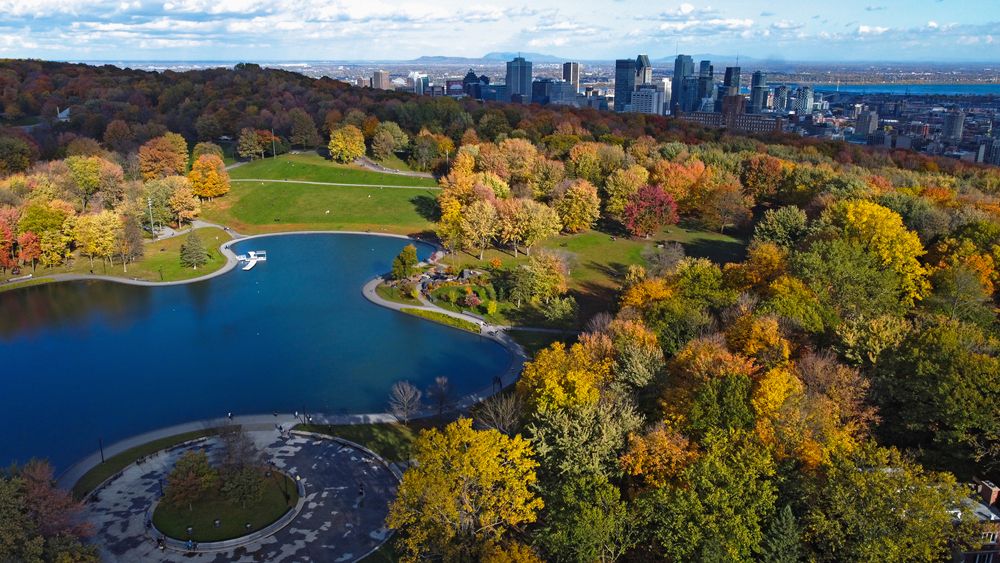 Parque Mont Royal, Montreal.jpg