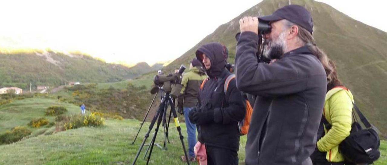 Varios observadores, el sábado, en el mirador de La Peral, en Somiedo.