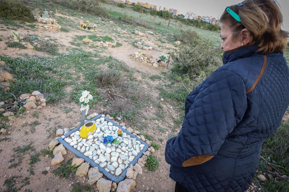 Junto al parque de Lo Albentosa de Torrevieja se extienden fosas y lápidas en una práctica no regulada