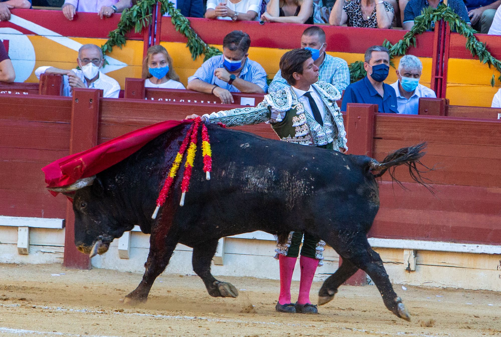 El Juli y Manzanares salen a hombros en la primera tarde de homenaje al maestro de Alicante