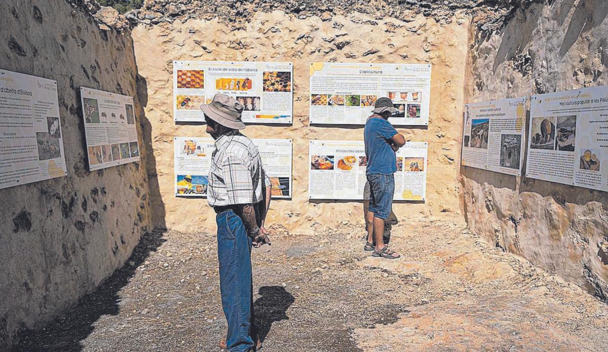 2ef93350 d10d 480d 932b 735f7ba49d64 alta libre aspect ratio default 0 – Diario de Ibiza News Centro de divulgación de la abeja ibicenca en es Rafal Trobat. | | IRENE VILA