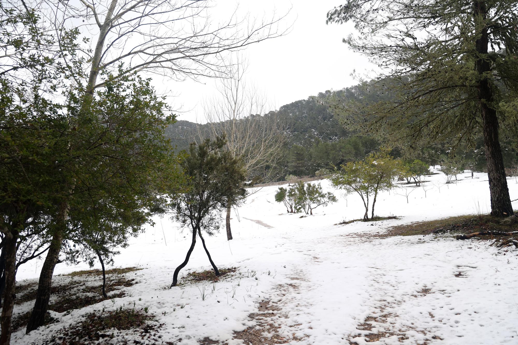 Sehenswürdigkeit Schnee auf Mallorca - neue Bilder aus der Serra de Tramuntana