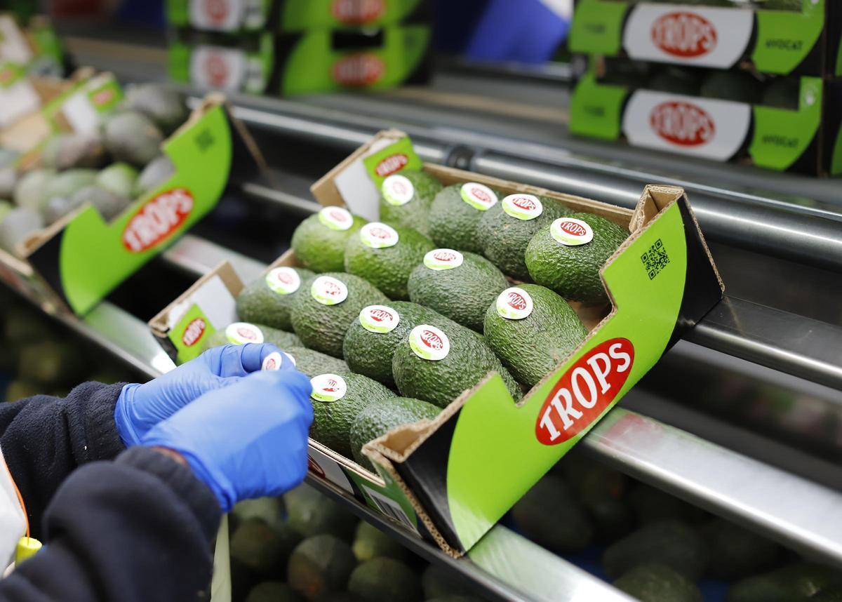 Las especias alemanas que arrasan en España: El topping de aguacate es  espectacular - El Periódico de España