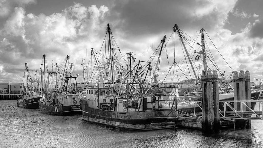 Puerto pesquero de la ciudad holandesa de Lauwersoog.