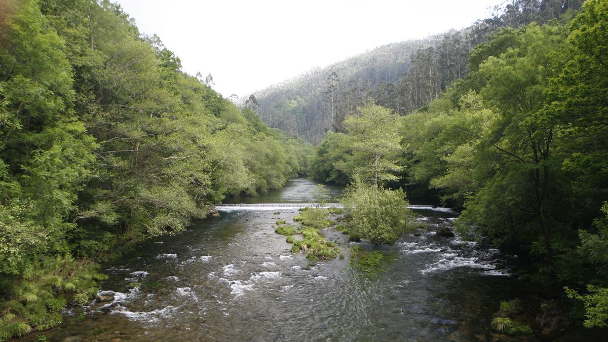 Una vista de las Fragas do Eume.