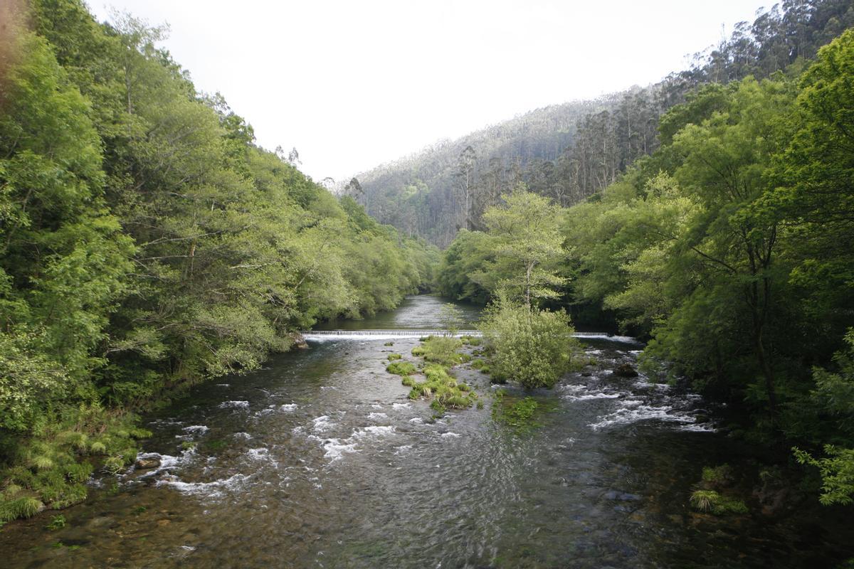 Una vista de las Fragas do Eume.