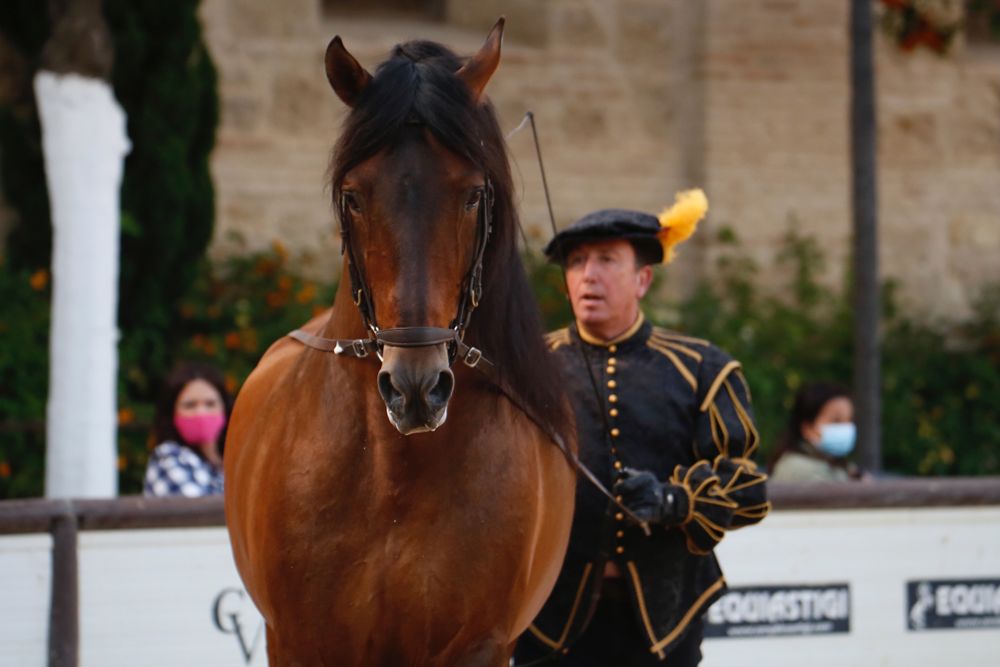 Vuelve a Caballerizas el espectáculo de Córdoba Ecuestre