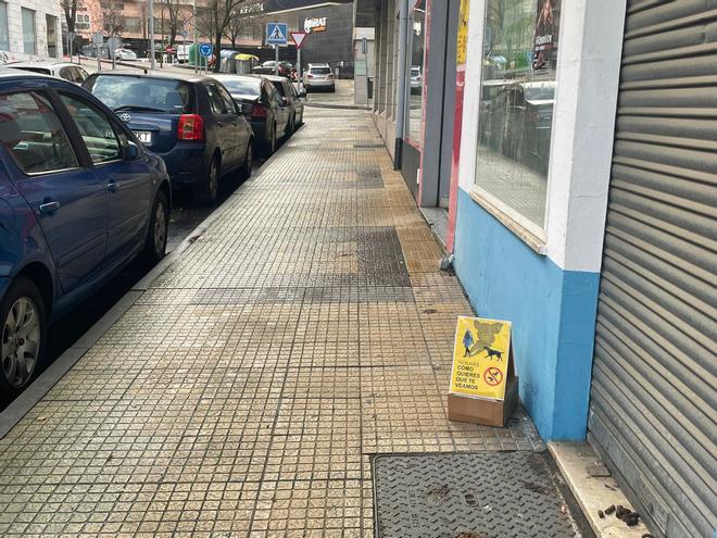 Fotogalería | "Tú eliges cómo quieres que te veamos"