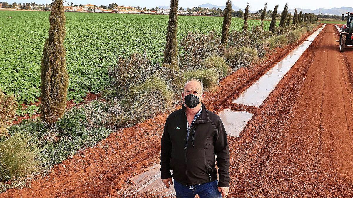 Salvador Mellinas, en su finca próxima a Los Urrutias, donde tiene como barreras vegetales especies de arbusto y arbolado.