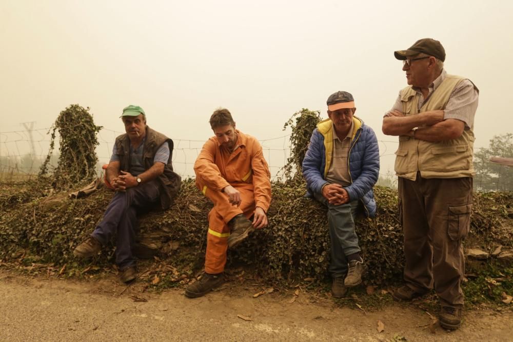 El suroccidente asturiano lucha contra las llamas