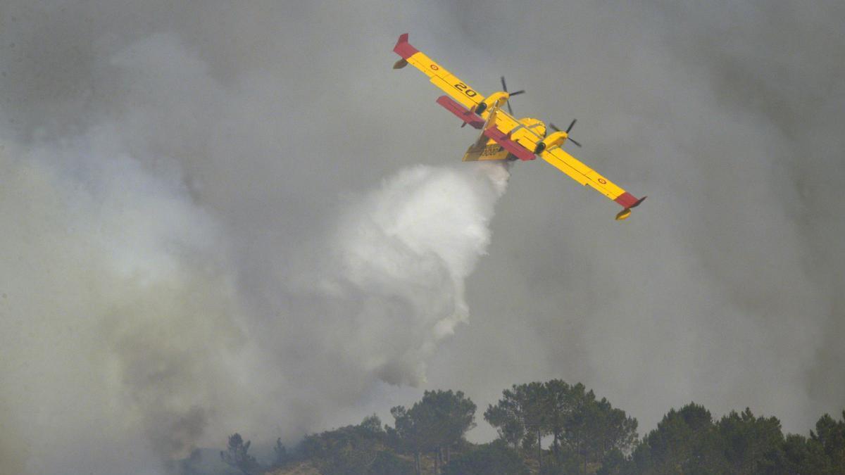 Labores de extinción de un incendio forestal.