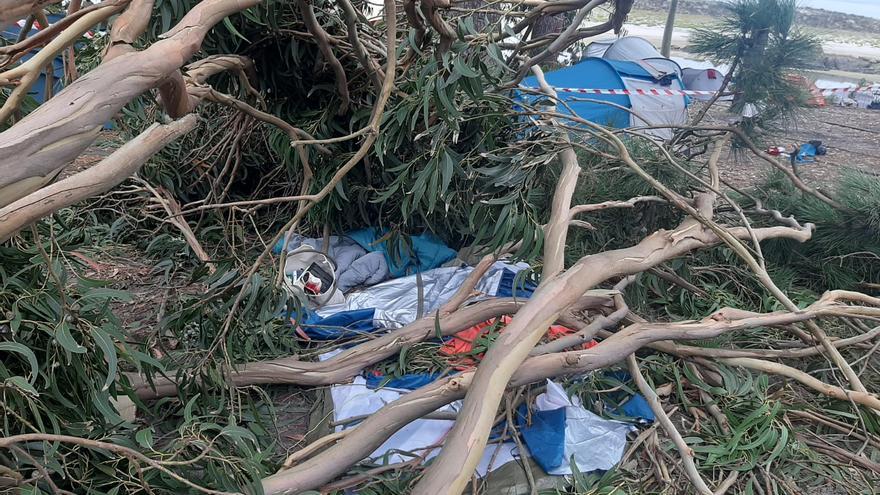 Cuatro heridos al desplomarse un árbol en el camping de Cíes